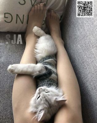 国产黄色视频999_BD韩语在线手机播放